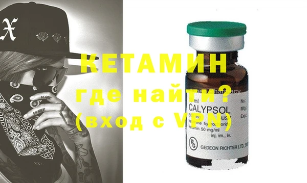 шишки Белая Холуница
