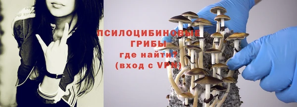 СК Нефтекумск