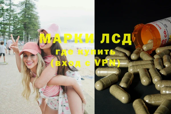 СК Нефтекумск