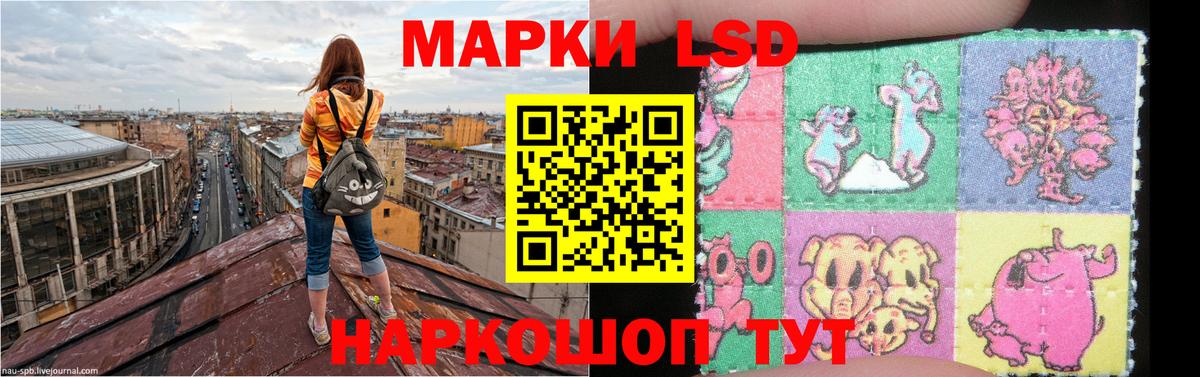 Лсд 25  Ревда  Меф МЯУ МЯУ   Метадон  ЭКСТАЗИ  Cocaine  ГАШ  Вход с VPN  МДМА  ГЕРОИН  Каннабис  Метамфетамин  АМФЕТАМИН кристаллы 
